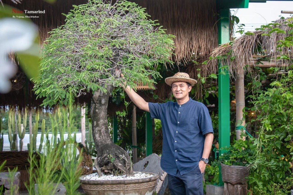 คุณชัยวัฒน์ ศรีเทศ กับต้นบอนไซมะขาม Nine Tamarind