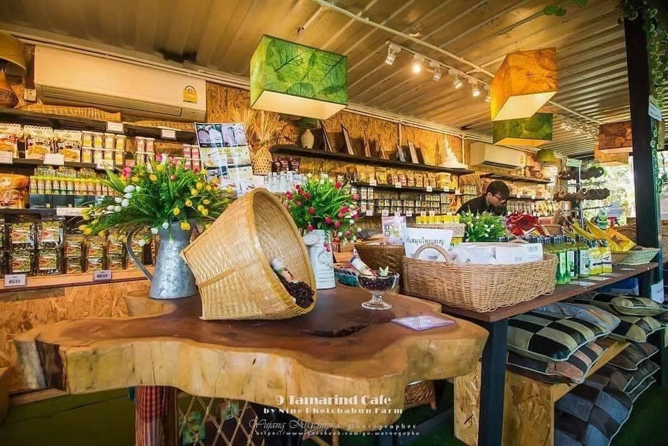 Wellness นวัตกรรม Tamarind Cider และผลิตภัณฑ์เครื่องดื่มมะขามสุขภาพ
